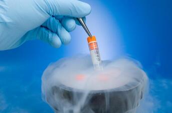 embryo-freezing.jpg